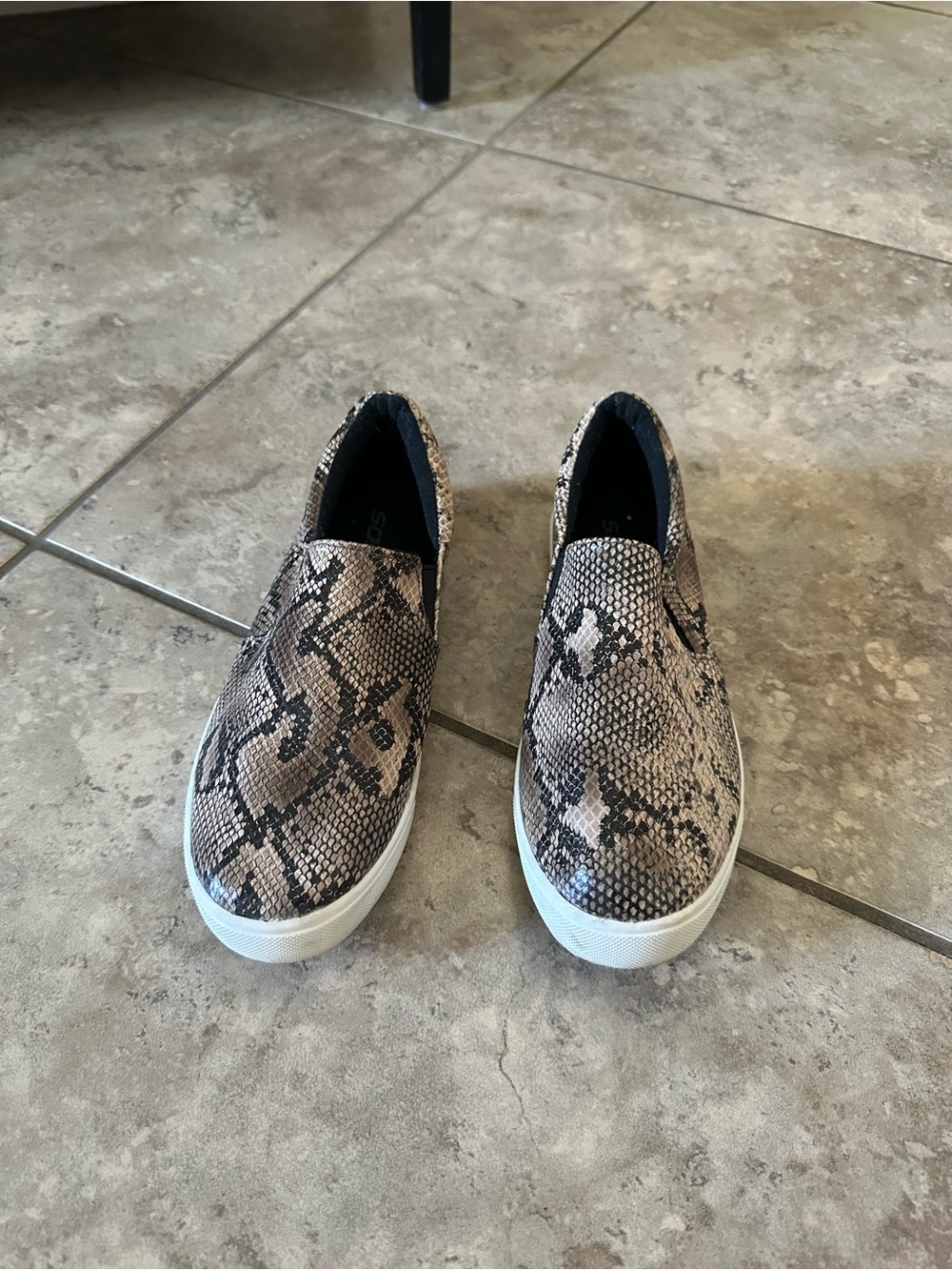 Soda Women's Snake-Print Slip-On Sneakers in Brown and Black